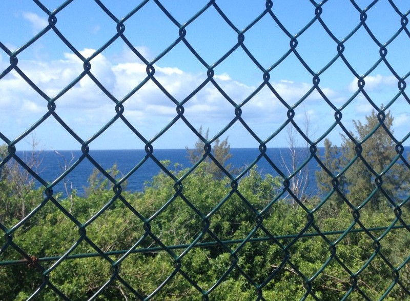 cloture pour maison mitoyenne grillage simple torsion